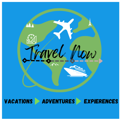 Original Travel Now logo